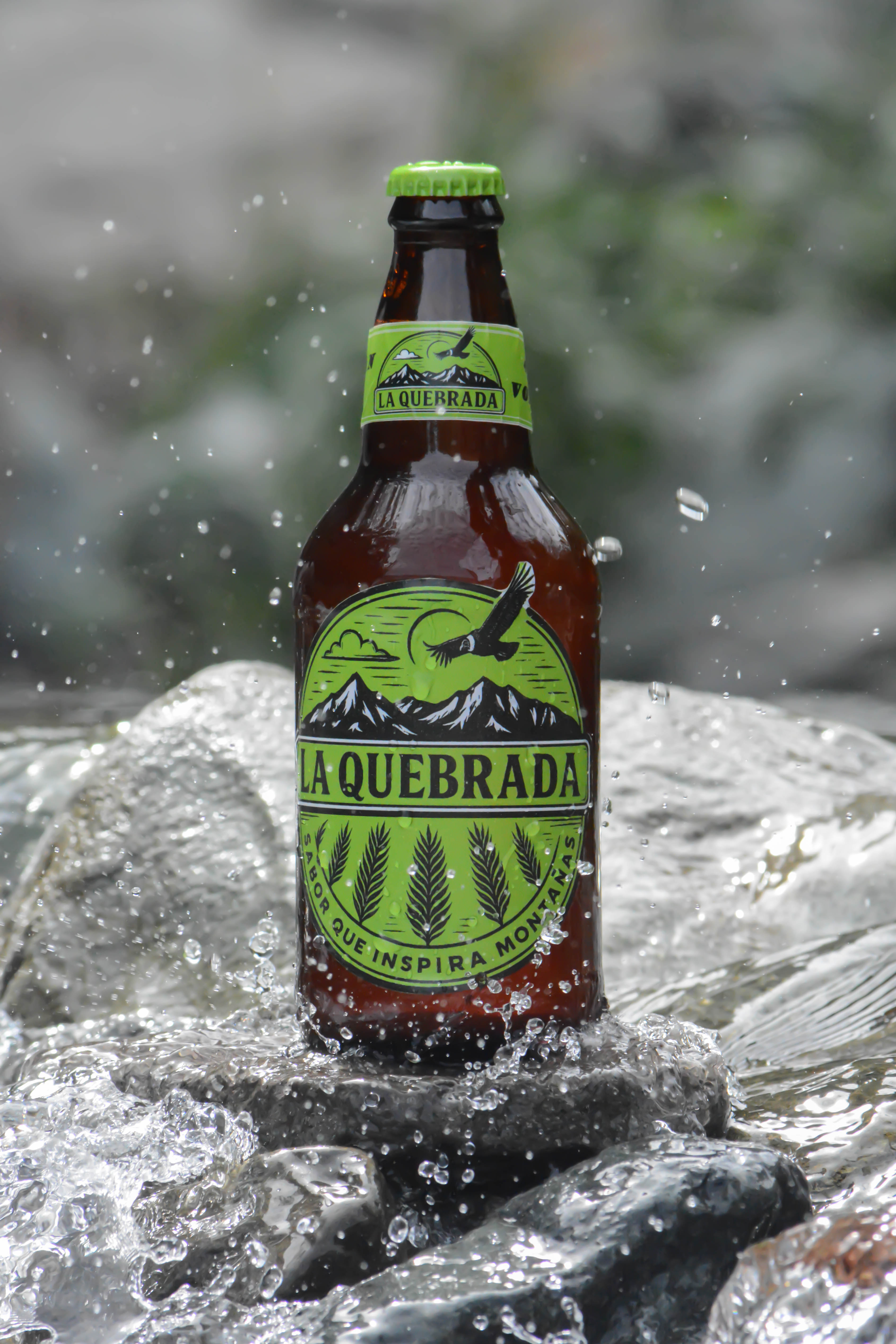 Indian IPA