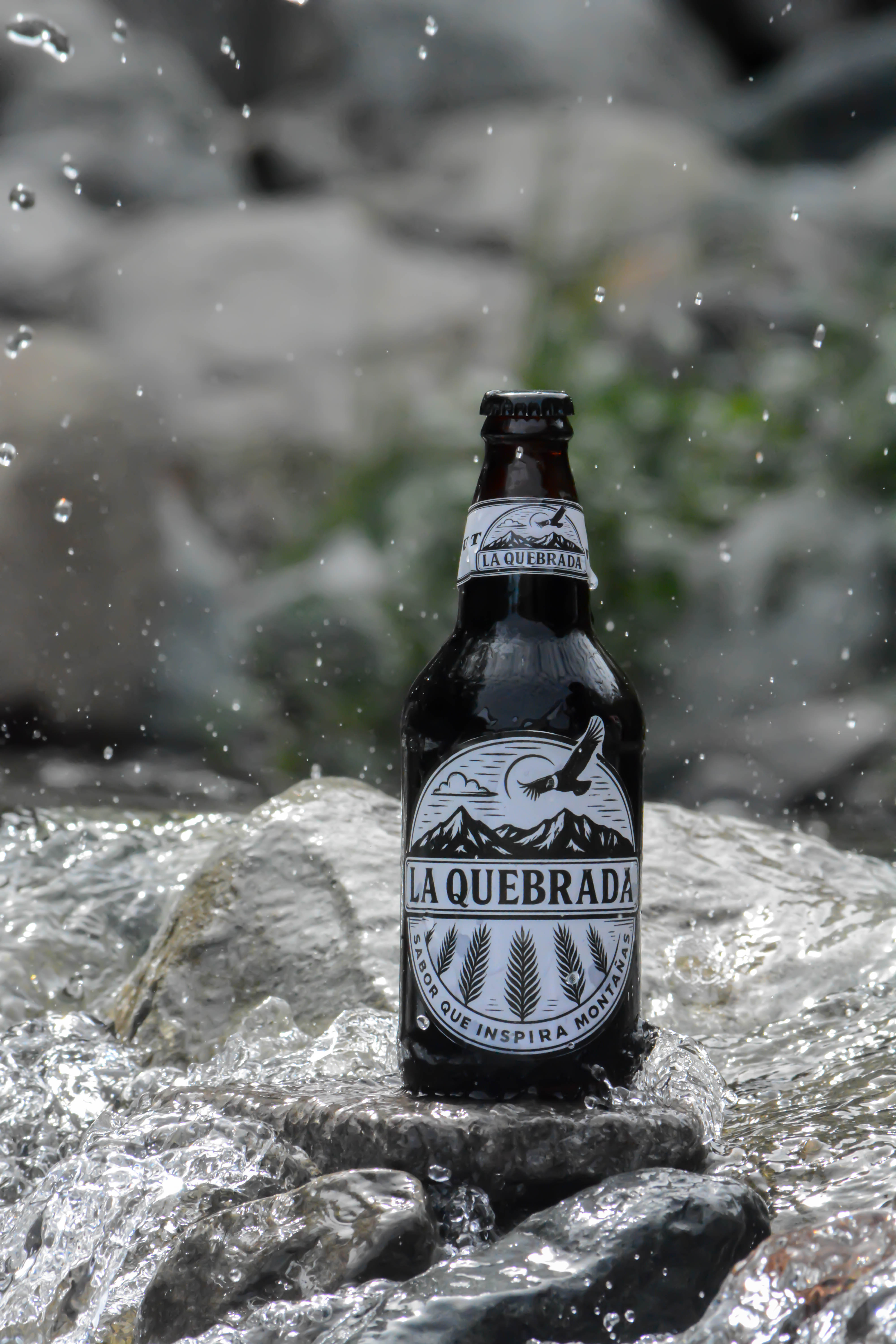 Stout